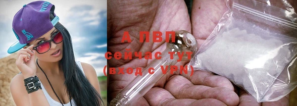 гашик Нефтегорск