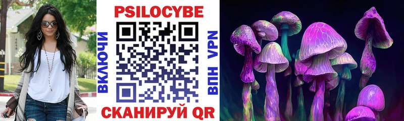 где продают наркотики  Юрга  Галлюциногенные грибы MAGIC MUSHROOMS 
